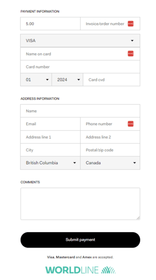 Screenshot of the Payment Form on Checkout
